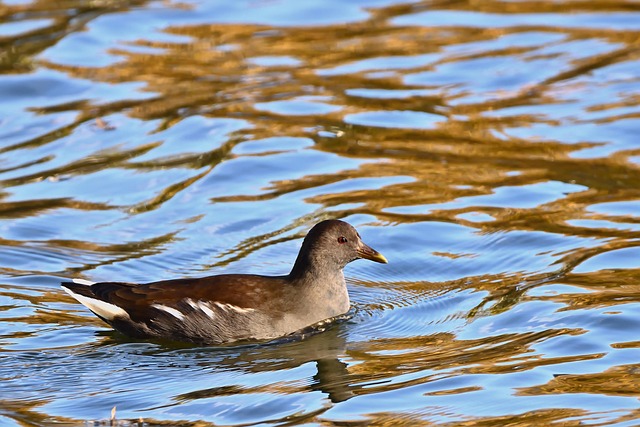 Braves vs. Cubs Game Highlights (9/1/25) | MLB Highlights! Braves vs. Cubs Game Highlights (9/1/25) | MLB Highlights! - Braves 이미지 1