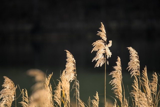 AMD CEO Lisa Su on Chipmaking Future: Reid Hoffman Interview - Possible 이미지 1