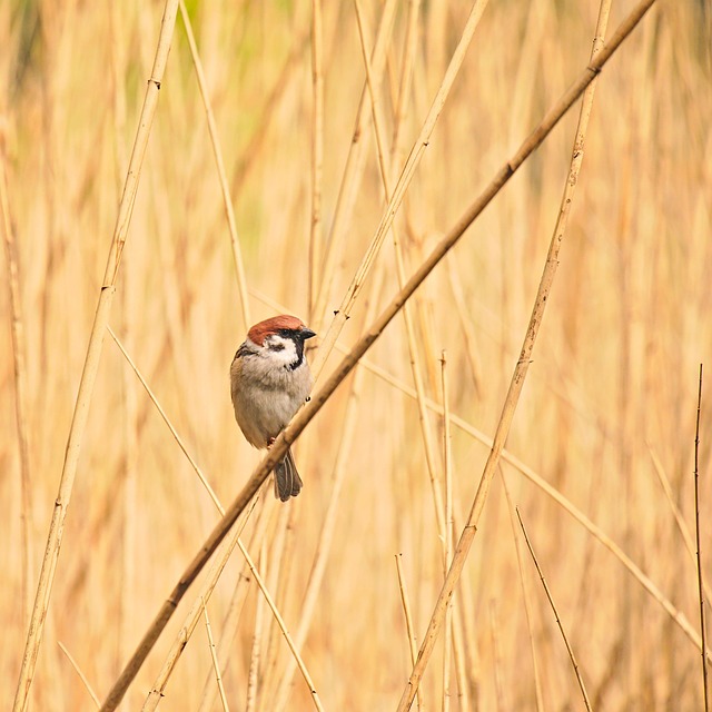 AMD CEO Lisa Su on Chipmaking Future: Reid Hoffman Interview - Possible 이미지 3