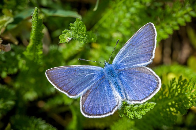 An incredibly brave interview | Amanda Anisimova | Runner-up On-court Interview | Wimbledon 2025! - An 이미지 2
