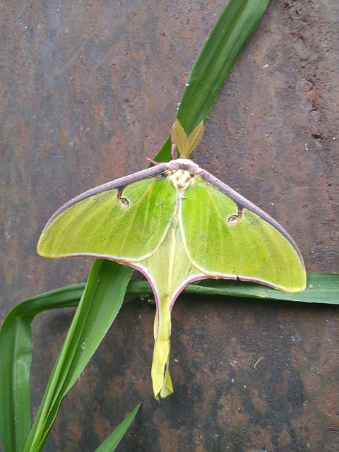 Anna Paulina Luna Calls Out Political Rhetoric After Tragic Incident Anna Paulina Luna Calls Out Political Rhetoric After Tragic Incident - Anna 이미지 3