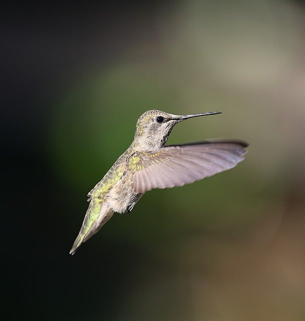 Anna Paulina Luna Calls Out Political Rhetoric After Tragic Incident Anna Paulina Luna Calls Out Political Rhetoric After Tragic Incident - Anna 이미지 5