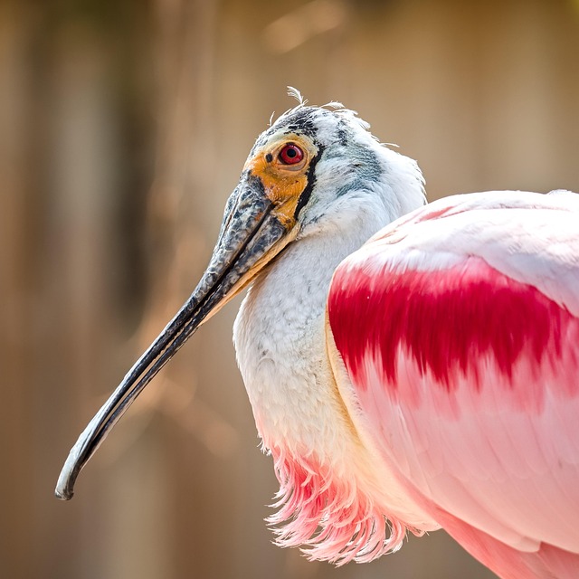 Billionaire Bill Ackman's Key to Long Term Investment Success - Billionaire 이미지 3