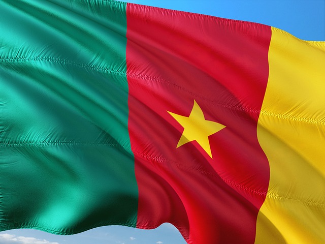 Cameroon Geography Guide: Complete Country Overview and Facts Cameroon Geography Guide: Complete Country Overview and Facts - Geography 이미지 5