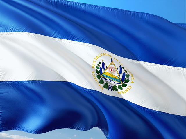 El Salvador Dominates Suriname in CONCACAF Qualifiers - Salvador 이미지 1