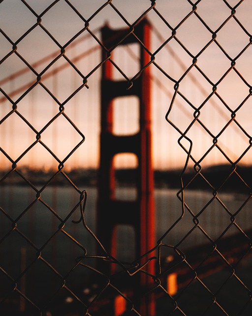 Golden Gate Bridge Facts: Complete Kids Learning Guide Golden Gate Bridge Facts: Complete Kids Learning Guide - The 이미지 4