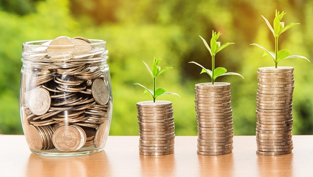 Investment Companies Guide: Stocks, Bonds & Mutual Funds Basics Investment Companies Guide: Stocks, Bonds & Mutual Funds Basics - The 이미지 1