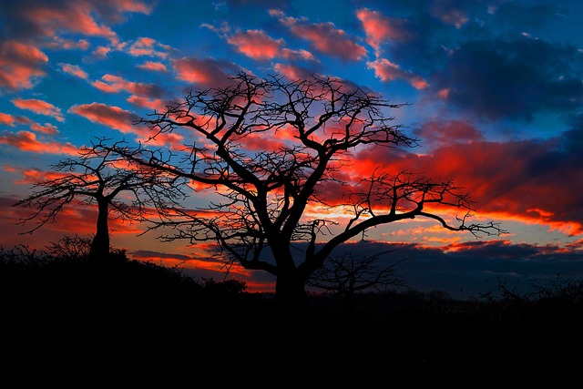 Jah Bouks Angola: Reggae Music Deep Dive & Review - Jah 이미지 1