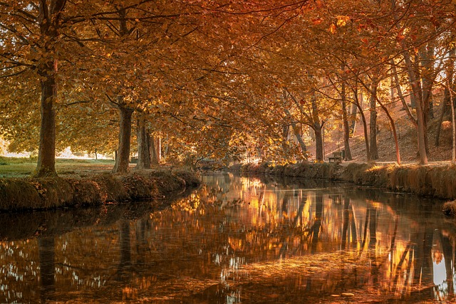 LSU vs Louisiana Tech HALFTIME Live Stream: WE ARE PLAYING SO BAD ON OFFENSE WTF! - LSU 이미지 1