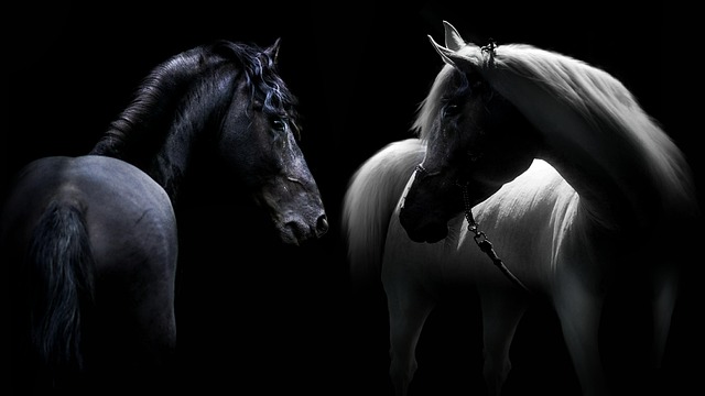 Lucid's 'Driven' Campaign: Timothée Chalamet Stars in Electric Vehicle Ad - Lucid 이미지 2