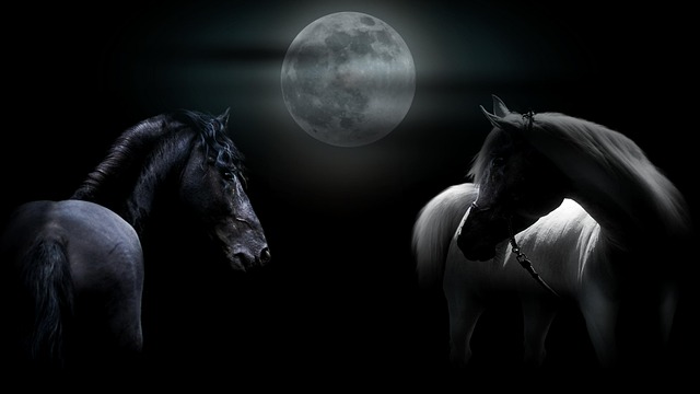 Lucid's 'Driven' Campaign: Timothée Chalamet Stars in Electric Vehicle Ad - Lucid 이미지 3