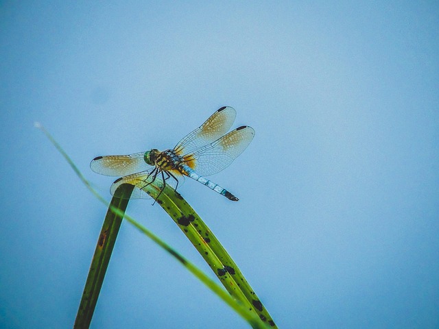 Lucid's 'Driven' Campaign: Timothée Chalamet Stars in Electric Vehicle Ad - Lucid 이미지 5
