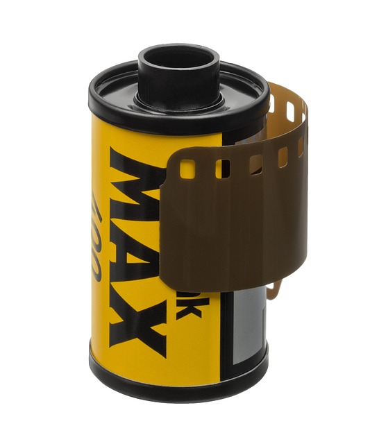 North Carolina's Max Johnson Throws A Touchdown To His Brother, Jake! North Carolina's Max Johnson Throws A Touchdown To His Brother, Jake! - North 이미지 2