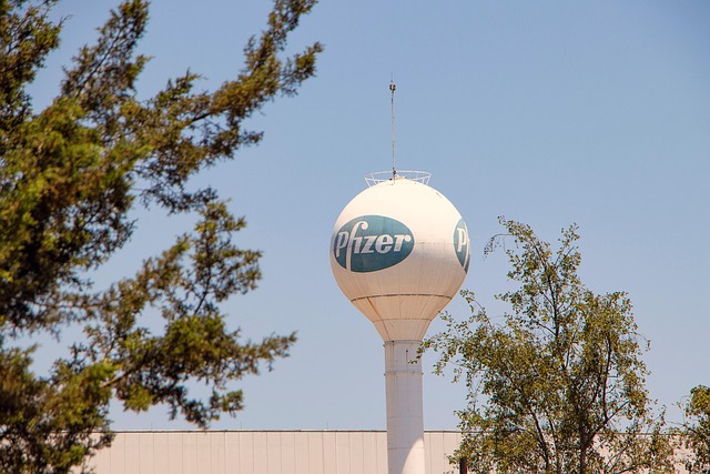 Pfizer Acquires Metsera for $4.9B: Obesity Drug Market Analysis - Pfizer 이미지 2