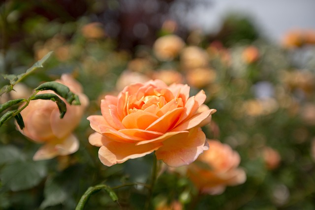 RH Stock Earnings Report: Tariff Resilience Drives Growth RH Stock Earnings Report: Tariff Resilience Drives Growth - Earnings 이미지 2