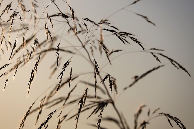 Remembering former Major League player and manager Davey Johnson (1943-2025)! - Remembering 이미지 2