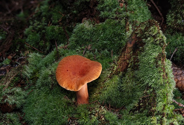 قیمت دلار و تحریم‌های جدید: واکنش بازار و کاربران - قیمت دلار و تحریم‌های جدید: واکنش بازار و کاربران 이미지 2