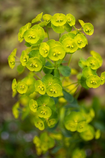 Euphoria Cast Best Moments: Behind the Scenes & Highlights - Euphoria 이미지 1