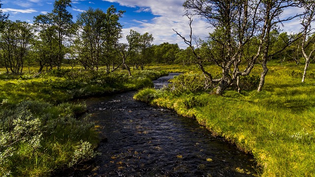 Euphoria Cast Best Moments: Behind the Scenes & Highlights - Euphoria 이미지 3