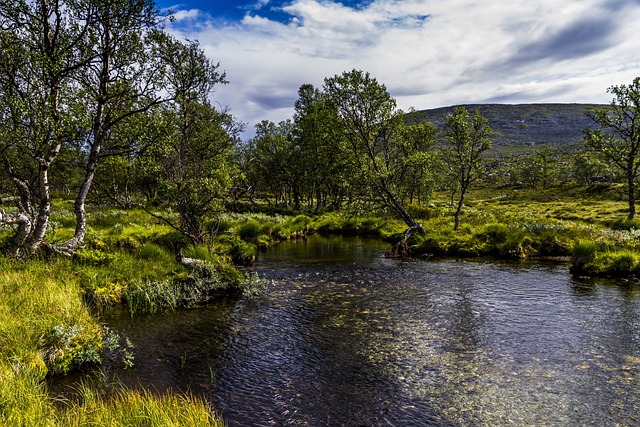 Euphoria Cast Best Moments: Behind the Scenes & Highlights - Euphoria 이미지 4