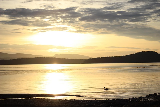 Foreigner tries Gutka and immediately regrets it! 🇵🇰 - Foreigner 이미지 3