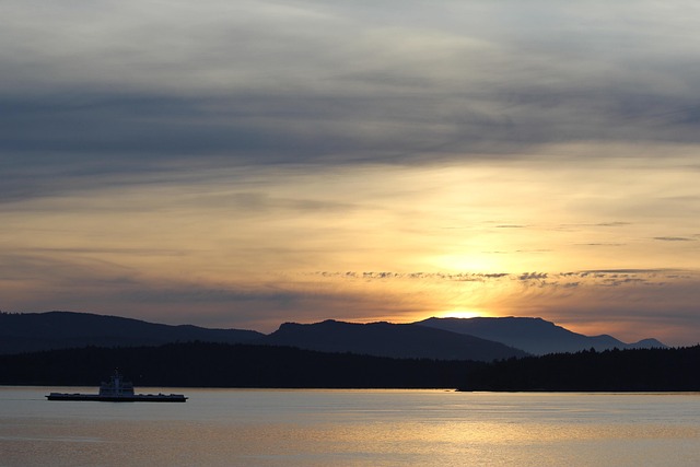 Foreigner tries Gutka and immediately regrets it! 🇵🇰 - Foreigner 이미지 4