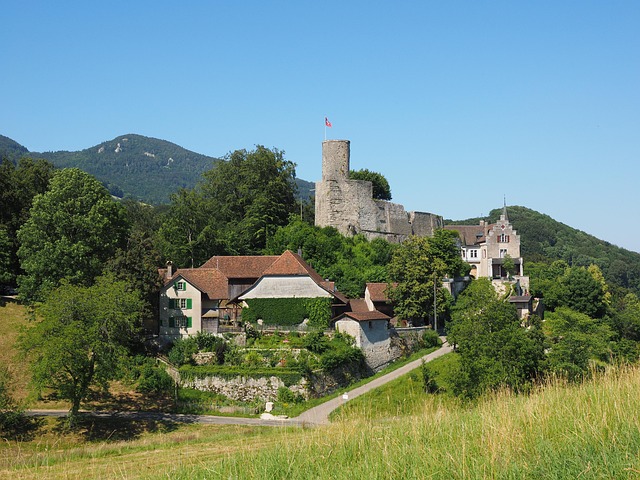 GDP Growth Explained: Understanding Economic Expansion GDP Growth Explained: Understanding Economic Expansion - Y1112 이미지 1