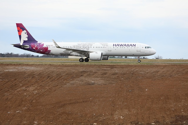 Hawaiian Airlines Safety Video Guide 2024: Complete Review Hawaiian Airlines Safety Video Guide 2024: Complete Review - Aloha 이미지 1