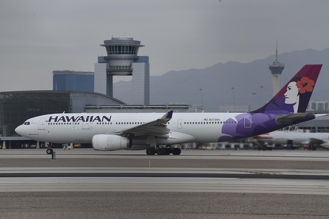 Hawaiian Airlines Safety Video Guide 2024: Complete Review Hawaiian Airlines Safety Video Guide 2024: Complete Review - Aloha 이미지 2