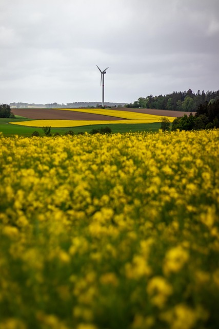 How A Bloom Energy Server Works - How 이미지 4