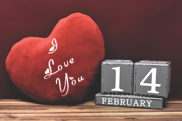 How to Use CALENDAR_MONTH and CALENDAR_YEAR in Salesforce SOQL Queries How to Use CALENDAR_MONTH and CALENDAR_YEAR in Salesforce SOQL Queries - Salesforce 이미지 1