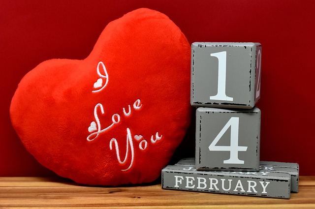 How to Use CALENDAR_MONTH and CALENDAR_YEAR in Salesforce SOQL Queries How to Use CALENDAR_MONTH and CALENDAR_YEAR in Salesforce SOQL Queries - Salesforce 이미지 2