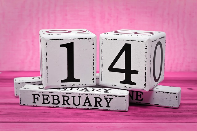 How to Use CALENDAR_MONTH and CALENDAR_YEAR in Salesforce SOQL Queries How to Use CALENDAR_MONTH and CALENDAR_YEAR in Salesforce SOQL Queries - Salesforce 이미지 5