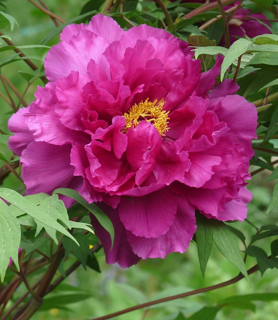 Klarna Business Model: How Buy Now Pay Later Services Profit - How 이미지 4