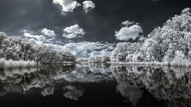 Lynette Zang: The End of Fiat, Stablecoins, and the Gold Reckoning - Lynette 이미지 2