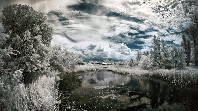 Lynette Zang: The End of Fiat, Stablecoins, and the Gold Reckoning - Lynette 이미지 5