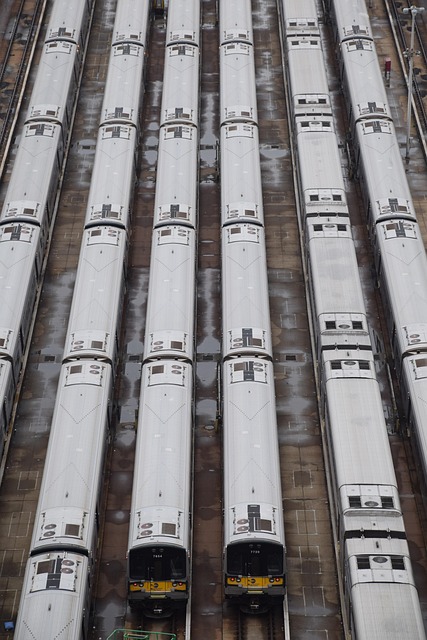 MTA TV Live Music: Original Track Performance & Streaming Guide MTA TV Live Music: Original Track Performance & Streaming Guide - MTA 이미지 3