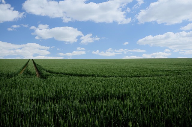 Mark Zuckerberg's Harvard Speech: Full Transcript & Key Insights - Facebook 이미지 3