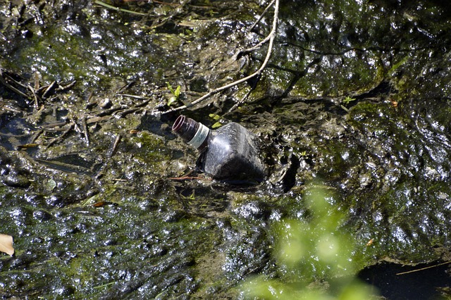 PSE Marketplace: Sensi Smart Thermostat $5 Deal Guide - Limited 이미지 5