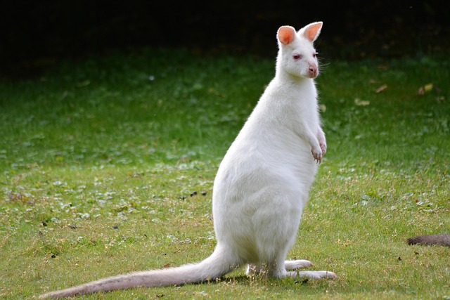 Rare Earth Minerals: 17 Elements More Valuable Than Gold - Rare 이미지 2