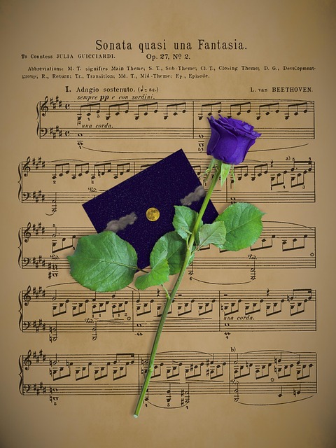 Sonata Fibroid Treatment by Hologic: Complete Guide - Sonata 이미지 1