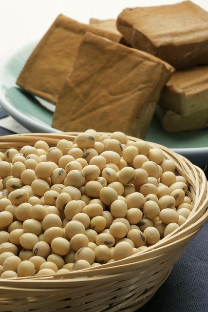 Soybean Farming Guide: How Soybeans Are Grown & Processed - Soybean 이미지 5