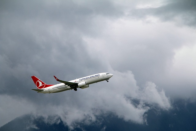 Türk Hava Yolları - Meme Kanseri Farkındalık Ayı Türk Hava Yolları - Meme Kanseri Farkındalık Ayı - Trk 이미지 1