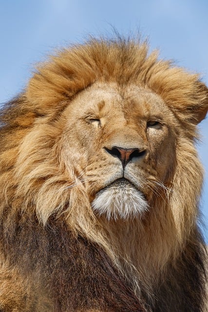 Understanding Category Theory: A Beginner's Guide to Abstract Mathematics Understanding Category Theory: A Beginner's Guide to Abstract Mathematics - Category 이미지 3