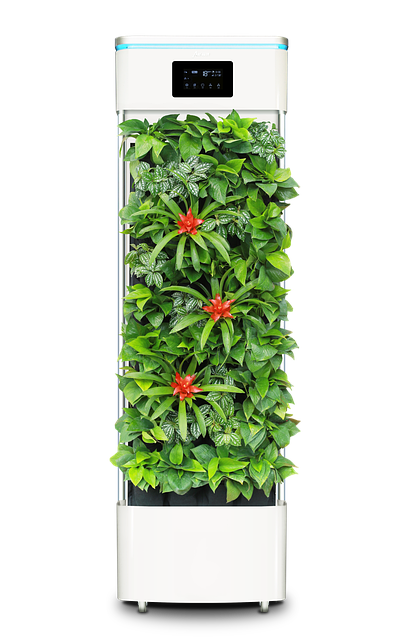 Air Purifier Comparison: Budget vs Premium Models Performance Review Air Purifier Comparison: Budget vs Premium Models Performance Review - 1000 이미지 1