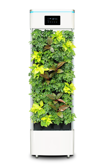 Air Purifier Comparison: Budget vs Premium Models Performance Review Air Purifier Comparison: Budget vs Premium Models Performance Review - 1000 이미지 2