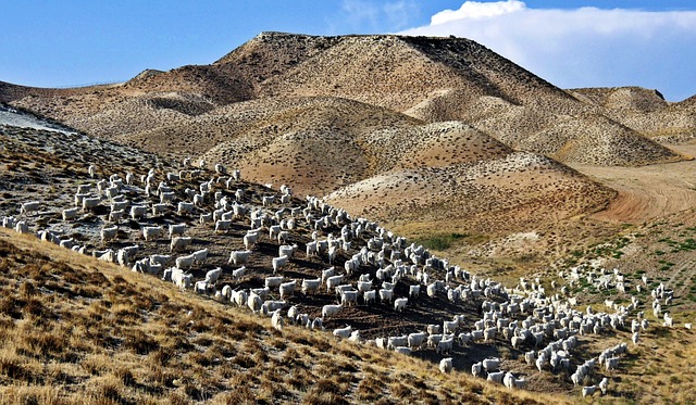 Ankara Kızılay Walking Tour Guide: Complete Street Walk Experience - ANKARA 이미지 3