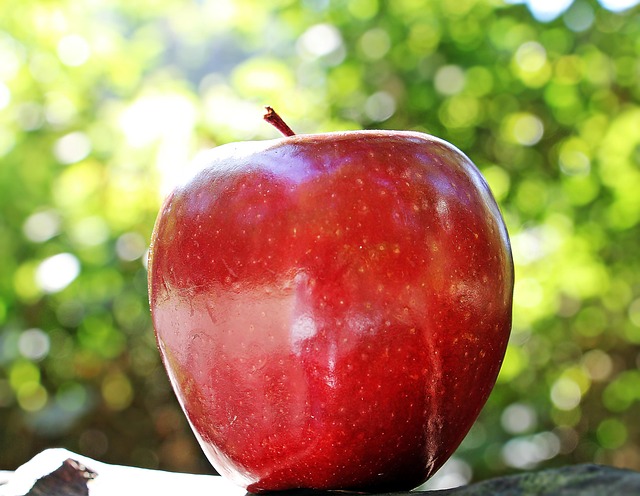 Apple Layoffs 2024: Sales Team Job Cuts Explained Apple Layoffs 2024: Sales Team Job Cuts Explained - Apple 이미지 1
