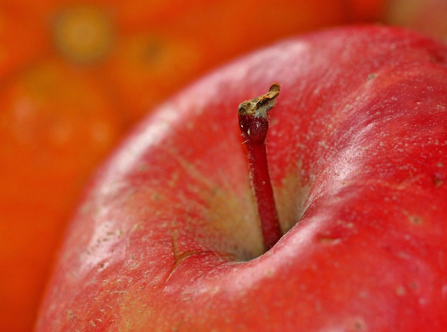 Apple Layoffs 2024: Sales Team Job Cuts Explained Apple Layoffs 2024: Sales Team Job Cuts Explained - Apple 이미지 4
