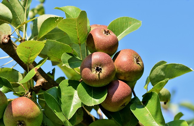 Apple Layoffs 2024: Sales Team Job Cuts Explained Apple Layoffs 2024: Sales Team Job Cuts Explained - Apple 이미지 5